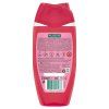 Palmolive SG 250ml Berry Picking