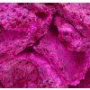 EXOTICKÁ PITAYA | lyofilizované plátky, ovoce sušené mrazem | 50 g