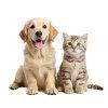 DEOTEX PETS | Praktický set pro domov plný mazlíčků | pohlcovač pachů & speciální tekutý prací prostředek s probiotiky | 500 ml + 525 ml