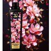 L'AVIVAGE MAGNOLIA WOOD | Avivážní kondicionér | 750 ml